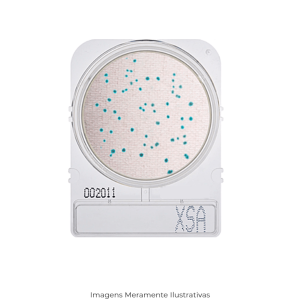 Compact Dry XSA
