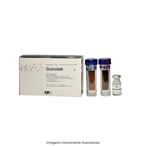 Gonolab P/ Neisseria SP
